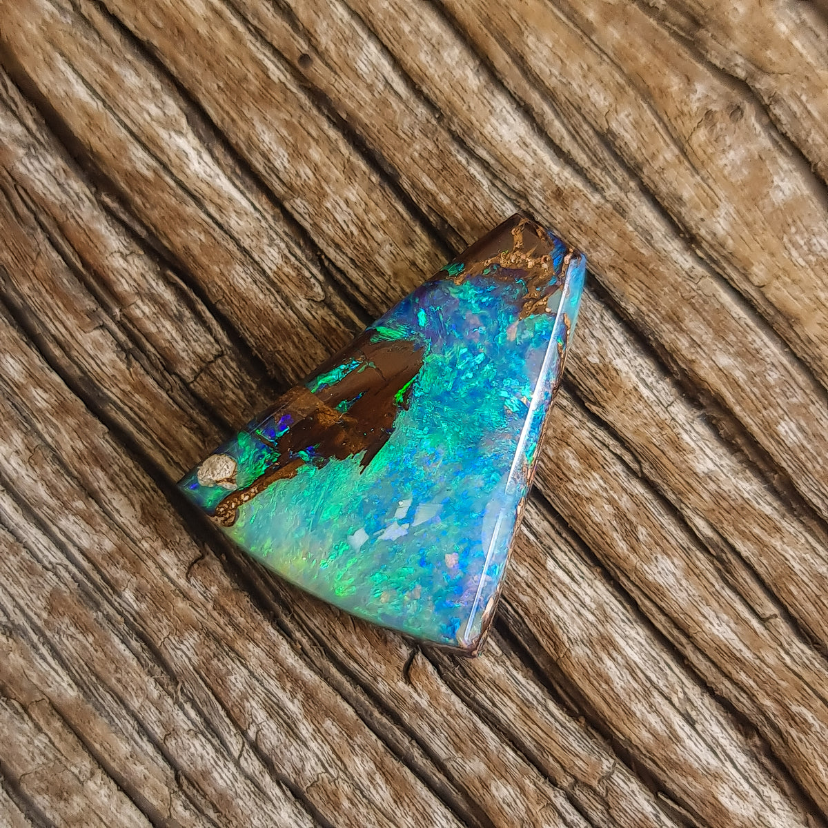 12.93ct Opalized Wood/Pipe Opal Trapezoid Shape : Lawson Gems