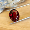 6.55ct Oval Cut Red Garnet