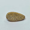 7.78ct Pear Cabochon Cut Australian Fossil Pipe Opal