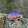 7.78ct Pear Cabochon Cut Australian Fossil Pipe Opal
