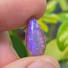  7.78ct Pear Cabochon Cut Australian Fossil Pipe Opal
