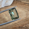 8.28ct Apatite Emerald Cut (No Treatment)