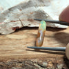 3.78ct Australian Fossil Pipe Opal Elongated Cabochon Cut