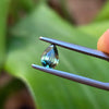 0.73ct Australian Parti Sapphire Pear Cut
