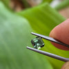 1.24ct Australian Green Sapphire Square Emerald Cut