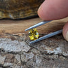 0.82ct Yellow Australian Sapphire Oval Cut
