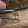 2.21ct Yellow Australian Parti Sapphire Oval Cut