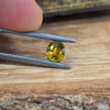 0.99ct Yellow Australian Sapphire Oval Cut