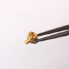 1.556g Australian Gold Nugget