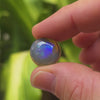 10.28ct Semi-Black Opal Round Cabochon Cut