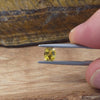 0.82ct Yellow Australian Sapphire Oval Cut
