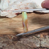 3.78ct Australian Fossil Pipe Opal Elongated Cabochon Cut