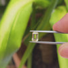 1.24ct Yellow Danburite Emerald Cut