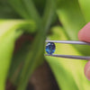 0.79ct Blue Sapphire Oval Cut (No Heat)