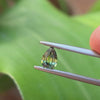 0.73ct Australian Parti Sapphire Pear Cut