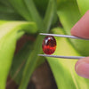 6.27ct Hessonite Garnet Oval Cut