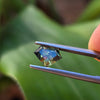 1.90ct Australian Parti Sapphire Shield Cut