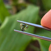 1.04ct Australian Green Sapphire Trilliant Cut