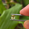 1.12ct Yellow Australian Sapphire Oval Cut