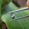 1.31ct Australian Parti Sapphire Rhombus Cut