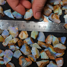  50ct Rough Australian Pipe Opal Parcels 10-25mm