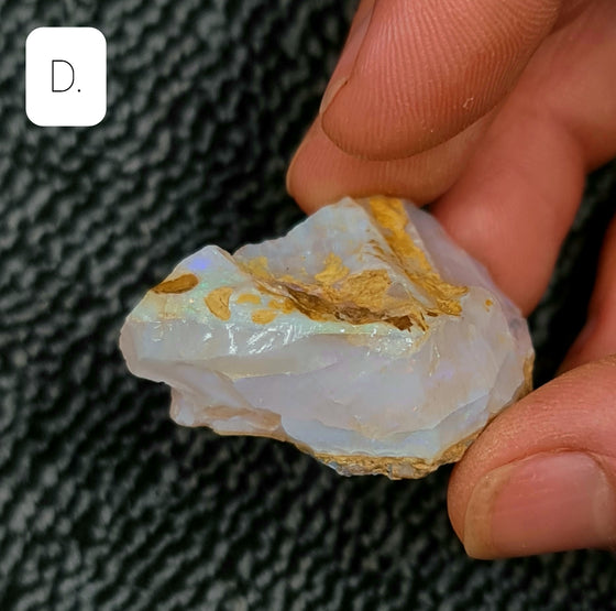 Rough Australian Pipe Opal Large Sizes