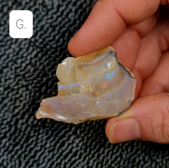 Rough Australian Pipe Opal Large Sizes