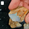 Rough Australian Pipe Opal Large Sizes