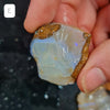 Rough Australian Pipe Opal Large Sizes