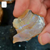 Rough Australian Pipe Opal Large Sizes