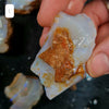 Rough Australian Pipe Opal Large Sizes