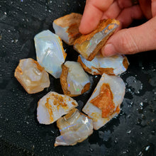  Rough Australian Pipe Opal Large Sizes