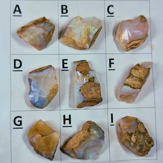 40ct to 50ct Rough Australian Pipe Opal Pieces