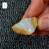 40ct to 50ct Rough Australian Pipe Opal Pieces A