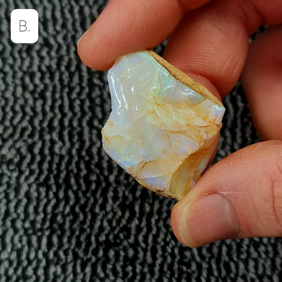 40ct to 50ct Rough Australian Pipe Opal Pieces B