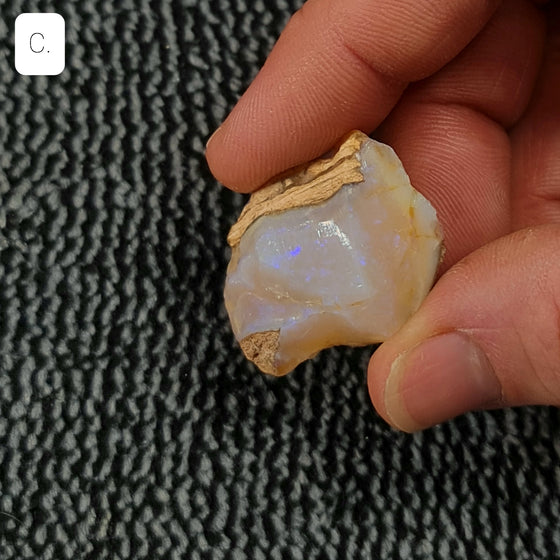 40ct to 50ct Rough Australian Pipe Opal Pieces C