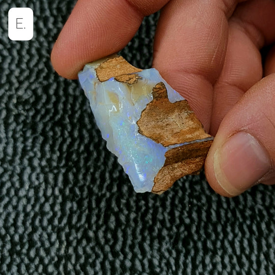 40ct to 50ct Rough Australian Pipe Opal Pieces E