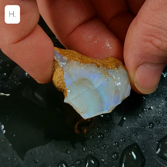 40ct to 50ct Rough Australian Pipe Opal Pieces H