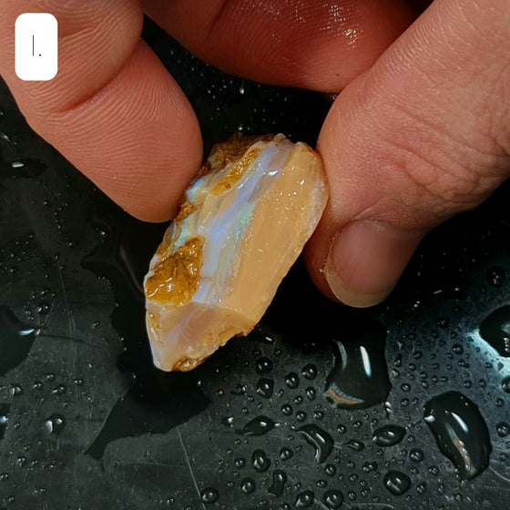 40ct to 50ct Rough Australian Pipe Opal Pieces I