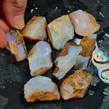  40ct to 50ct Rough Australian Pipe Opal Pieces
