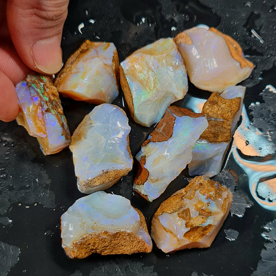 40ct to 50ct Rough Australian Pipe Opal Pieces