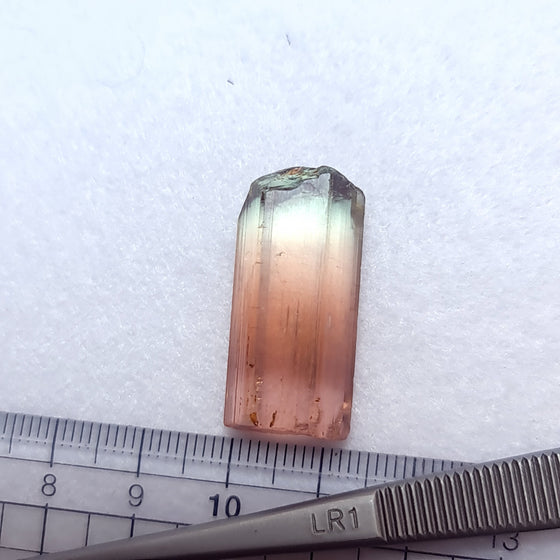 39.8ct 4 Colour Pink Yellow Mauve Green Tourmaline Facet Rough