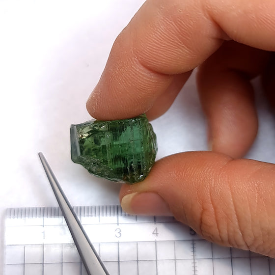 55.15ct Green / Blue Green (Teal) Tourmaline Facet Rough