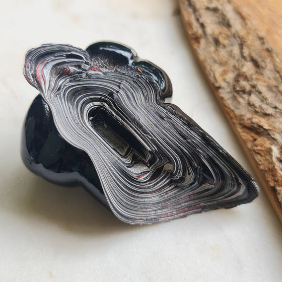 44.3g Fordite Rough (Modern)