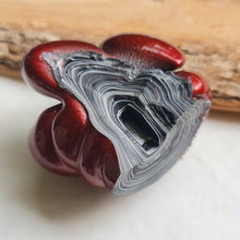  66.2g Fordite Rough (Modern)