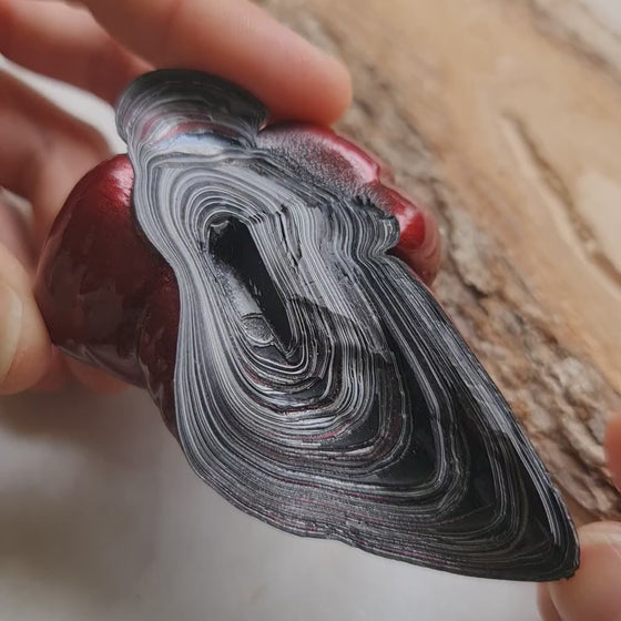 66.2g Fordite Rough (Modern)