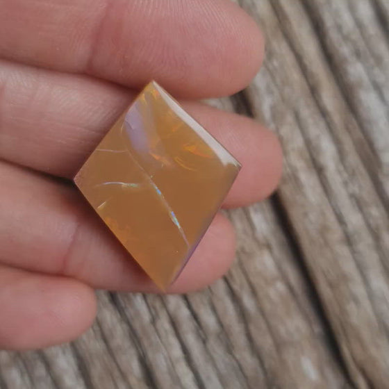 17.44ct Opalized Wood/Pipe Opal Free-form