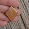 17.44ct Opalized Wood/Pipe Opal Free-form