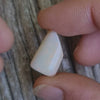 7.55ct Freeform Pipe Opal