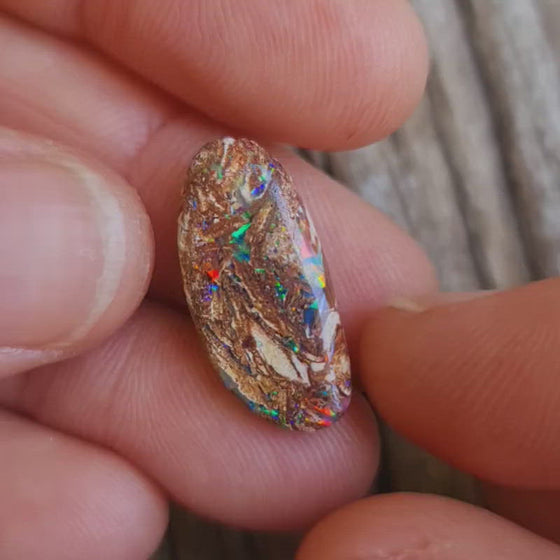 8.60ct Freeform Opalized Wood/Pipe Opal